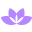 Dermae logo